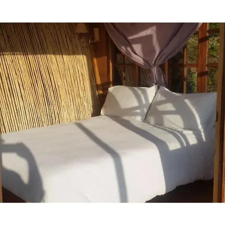 Treehouse ,casa Arbol, With