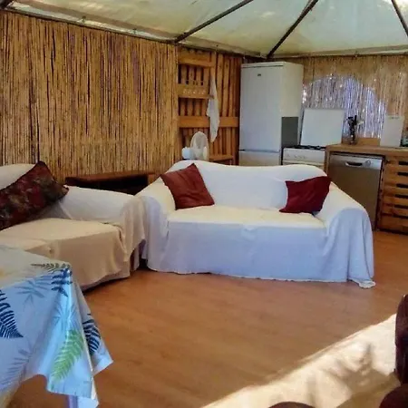 Treehouse ,casa Arbol, With Algarrobo