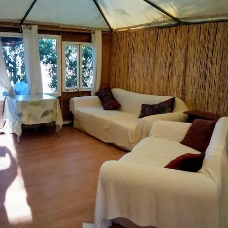 Treehouse ,casa Arbol, With *