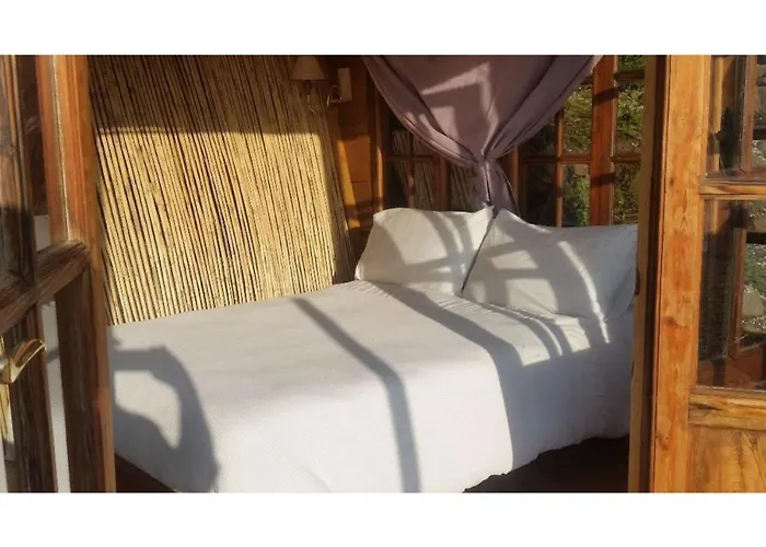 Treehouse ,casa Arbol, With